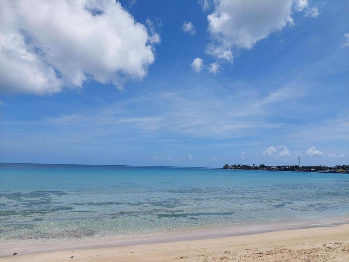 Sunset Bay B&B Brig Bay 外观 照片